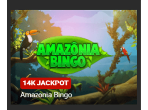 bingo free casino games